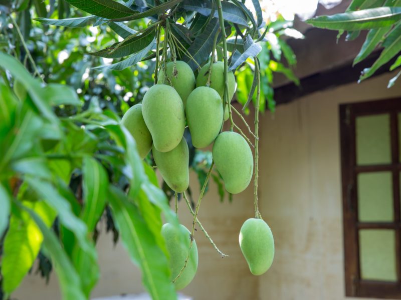 istock_671121-scaled.jpg