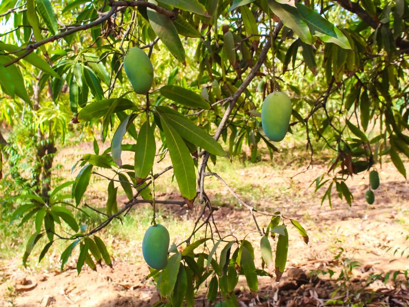 istock_941575-1-scaled.jpg